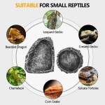 Reptile Feeding Dish Manufacturer - Multi Species Terrarium