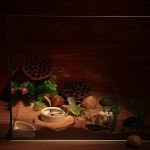 爬虫餐具套装生产商-防滑食碗藏身处