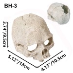 水族馆装饰生产商-头骨洞穴藏身屋