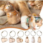 宠物纪念钥匙扣供应商-毛发收集盒定制