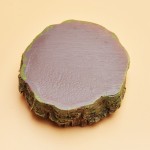 Reptile Water Dish Supplier - Realistic Log Design