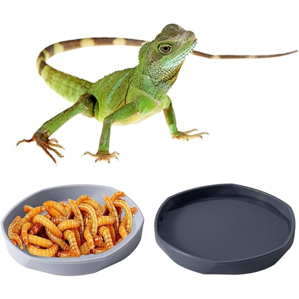 Reptile Food Bowl Factory - 4 Pack Plastic Worm Dish