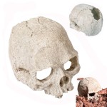 水族馆装饰生产商-头骨洞穴藏身屋