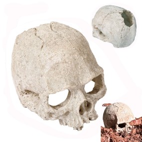 水族馆装饰生产商-头骨洞穴藏身屋