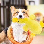 狗缓食器供应商-鸭子吱吱叫互动