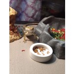 爬虫食碗厂家-陶瓷防逃食器