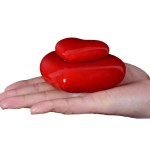 陶瓷宠物骨灰瓮生产商-心形纪念记忆盒