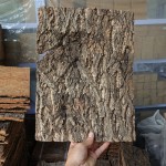 爬虫软木背景供应商-天然树皮饲养箱