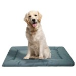 宠物旅行垫供应商-可折叠牛津防水