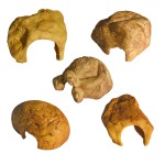 爬虫躲藏洞生产商-树脂水族馆藏身盒