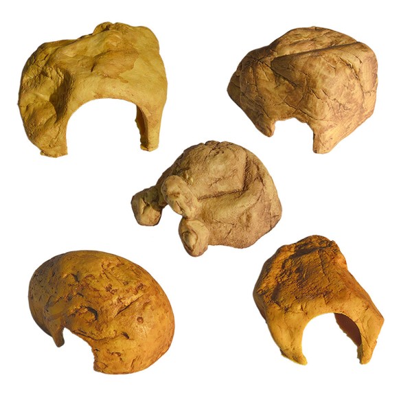 爬虫躲藏洞生产商-树脂水族馆藏身盒