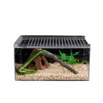 Tarantula Enclosure Factory - Magnetic Acrylic Display Box