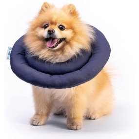 宠物伊丽莎白圈厂家-新款宠物恢复玉米项圈防水项圈