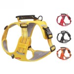 TPU狗项圈厂家-工厂直供加大码易清洁训练彩色图案