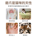 宠物露营床厂家-夏季环保猫狗露营床可洗棉麻垫