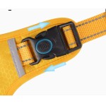 TPU狗项圈厂家-工厂直供加大码易清洁训练彩色图案