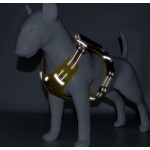 TPU狗项圈厂家-工厂直供加大码易清洁训练彩色图案