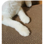 三角猫抓板厂家-室内猫抓板纸板带球加厚