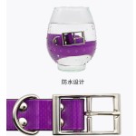 PVC宠物项圈厂家-厂家直销售防水项圈易清洁可调