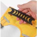 TPU狗项圈厂家-工厂直供加大码易清洁训练彩色图案