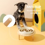 陶瓷宠物喂食器厂家-批发豪华陶瓷喂食碗健康慢食器垫