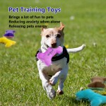 猫门厂家-简洁猫门4向锁定磁力宠物进出门