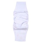 宠物狗尿布厂家-彩色女性卫生用品