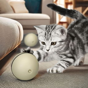 Interactive Cat Ball Factory - Electric Self Moving Indoor