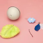 互动猫球厂家-电动自移动室内