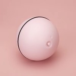 互动猫球厂家-电动自移动室内