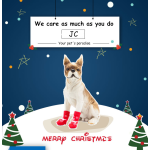 宠物针织袜厂家-防滑底保暖棉