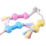 狗啃咬骨生产商-天然橡胶TPR训练