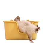 猫砂盆供应商-大U型清洁站