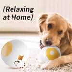 狗零食分配器供应商-可调节缓食IQ训练