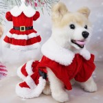 宠物圣诞连衣裙生产商-红色外套裙子节日