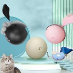 互动猫球厂家-电动自移动室内