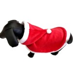 宠物圣诞斗篷生产商-红色斗篷绒球优雅