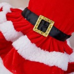 宠物圣诞连衣裙生产商-红色外套裙子节日