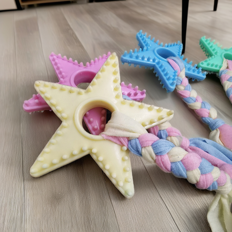 宠物啃咬玩具供应商-带刺海星