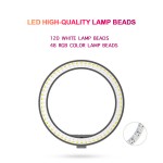 LED Ring Light Factory - 10inch TikTok Ring Light with Phone Holder RGB Light Desktop Tripod