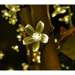 Holiday Light Factory - Nice Solar Holiday Light 5m 20LED Festival Decoration CE RoHS Certified