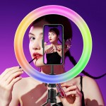 LED Ring Light Factory - 10inch TikTok Ring Light with Phone Holder RGB Light Desktop Tripod