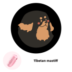 LED Pet Dispenser Supplier - Wireless LED Poop Holder Background Atmosphere Night Photography