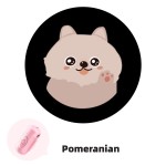 LED Pet Dispenser Supplier - Wireless LED Poop Holder Background Atmosphere Night Photography