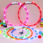 宠物项链灯厂家-LED硅胶狗项圈USB充电夜间安全闪光