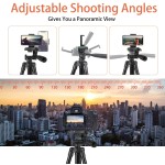 Phone Tripod Manufacturer - Lightweight Travel Desktop Tripod with Phone Holder Remote Control