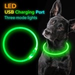 LED Dog Collar Supplier - Light up Dog Collar Rechargeable Safety Necklace for Night Walking
