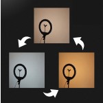 Photography Light Factory - 3000K-6000K Dimmable 10inch Ring Light with 2m Tripod Phone Holder