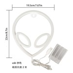 霓虹招牌灯厂家-定制LED霓虹墙牌USB电池供电生日礼品艺术