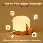 USB夜灯厂家-可充电触摸控制吐司灯带手机架功能